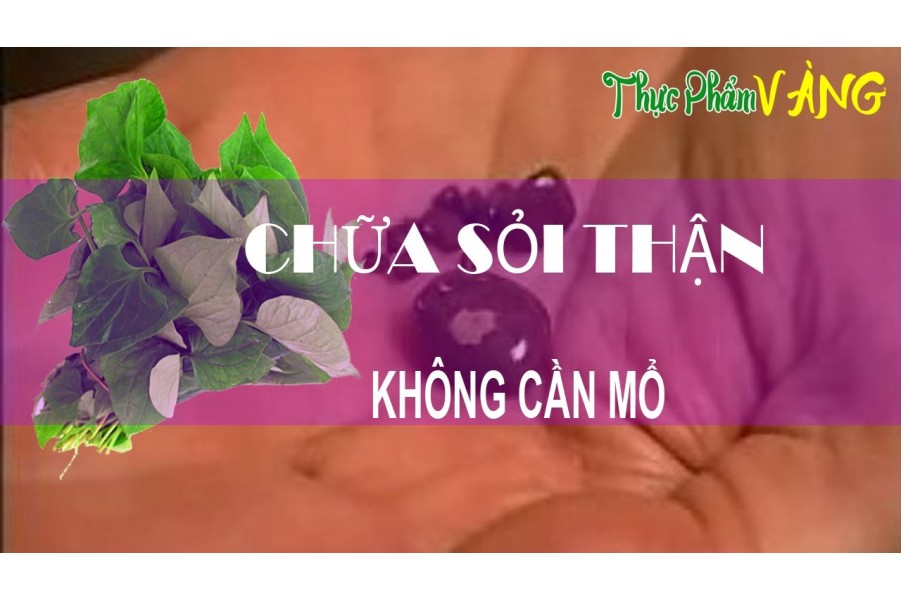 Top nhung thực phẩm tốt cho thận và không tốt cho thận 